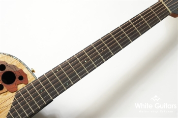 【The Celebrity Collection】 Celebrity Elite Exotic Mid Depth(CE44P)-Spalted Maple